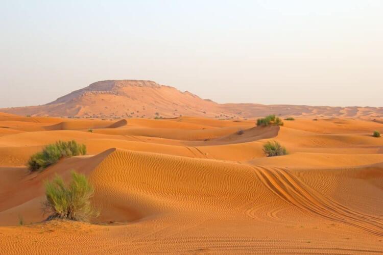 ما هي العوامل المؤثرة في مناخ الوطن العربي؟