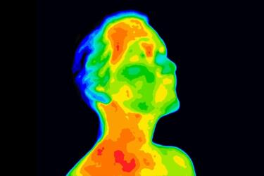 ما الآليات التي يستخدمها الجسم لتخفيض حرارته صيفاً؟