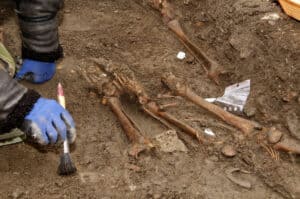 تطور ذكاء البشر