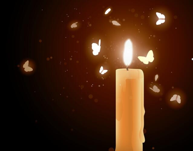 لماذا تنجذب الحشرات للضوء؟ دراسة حديثة تحل لغزاً عمره آلاف السنين