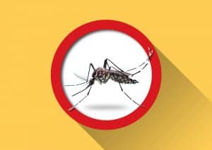 دراسة: طفرات وراثية تجعل البعوض المسبب لحمى الضنك مقاوماً للمبيدات الحشرية الشائعة