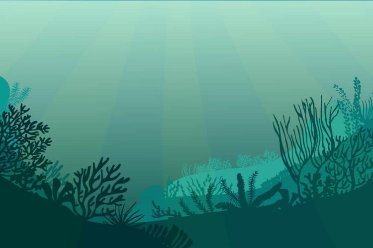 كيف ألهم برنامج للطبخ صنع مستشعرات طبية جديدة قابلة للأكل؟