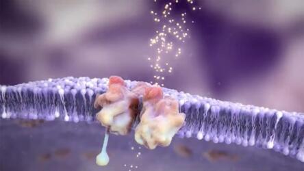 علاجات جديدة تمنح الأمل للمرضى المصابين بالأمراض الوراثية النادرة