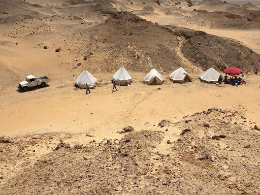 باحثون يشرحون لبوبيولار ساينس العربية قصة اكتشاف الجد الأكبر لثُعبان الكوبرا في مصر