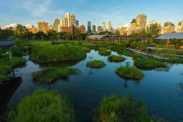 كيف تسهم المدن الإسفنجية في الوقاية من الفيضانات؟