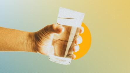 حصاد العلوم اليوم 29 يوليو 2024