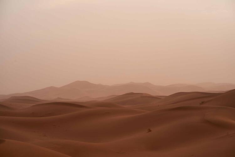 كيف تحمي نفسك من أضرار العواصف الرملية؟