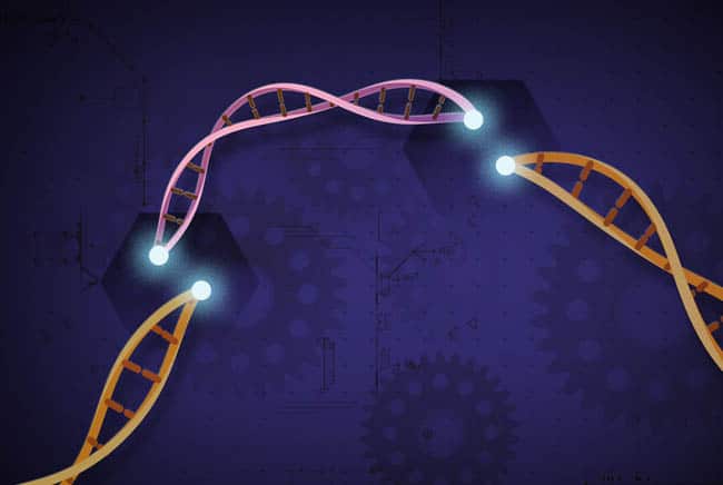 كريسبر, العمى, الرؤية, الإبصار, تقنية كريسبر, التعديل الجيني, بيولوجي