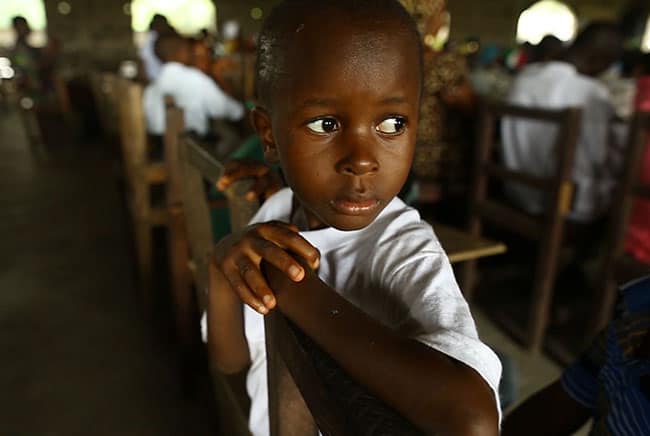 إيبولا, حصاد 2019, أهم الاكتشافات العلمية 2019