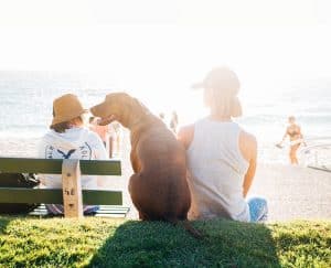 أشعة فوق بنفسجية, ملابس