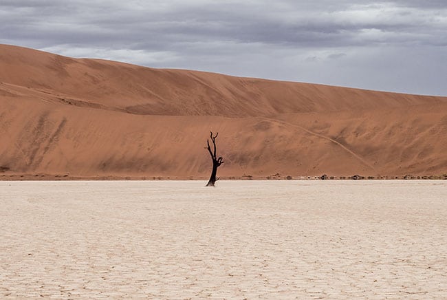 المناخ, التغير المناخي, الاحتباس الرحراي, نماذج المناخ, طبيعة, أرض