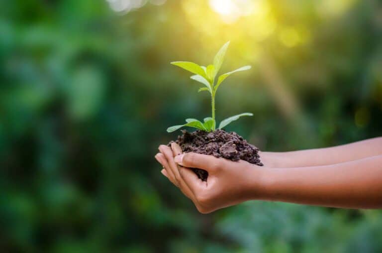الحفاظ على البيئة