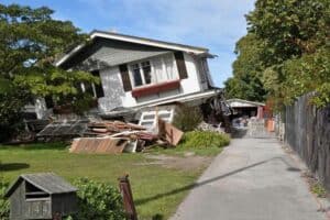 الزلازل, الصحة النفسية, بوبساي, بوبيولار ساينس