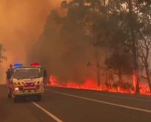 حرائق أستراليا, التنوع البيولوجي, مقالات علمية