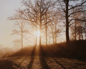 حصاد 2019, التغير المناخي, البيئة, مقالات علمية قصيرة, الاحتباس الحراري, الأرض