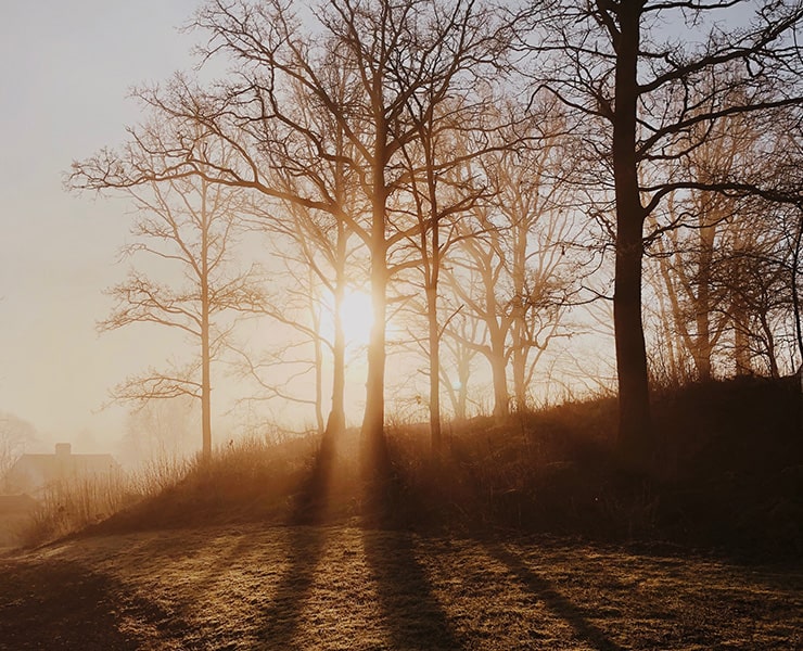 حصاد 2019, التغير المناخي, البيئة, مقالات علمية قصيرة, الاحتباس الحراري, الأرض