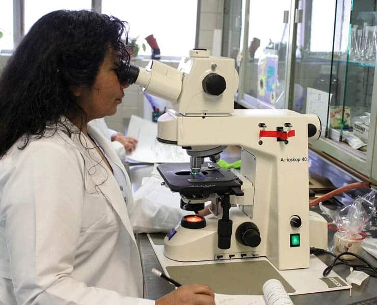 فيروس كورونا, تقنية, بوبساي, الصحة, أمراض, كورونا نوفل