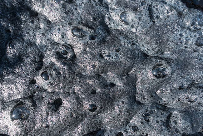 فوبيا الثقوب, فوبيا