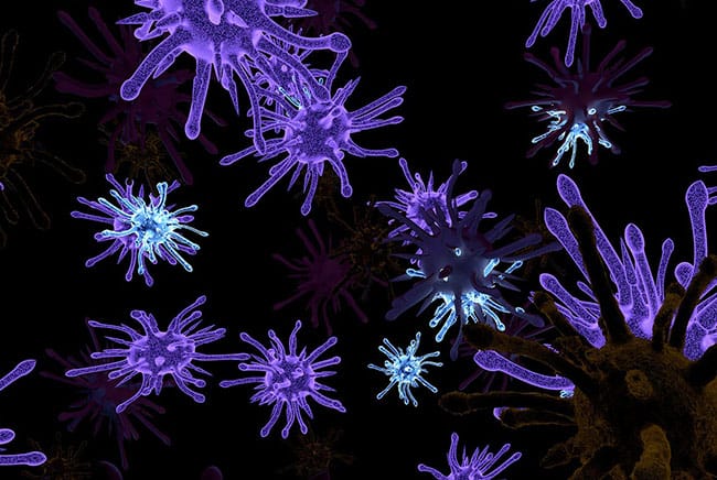 انفلونزا, جراثيم, برد, فصل الشتاء