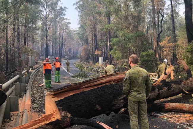 حرائق أستراليا, الاحتباس الحراري, حرائق الغابات