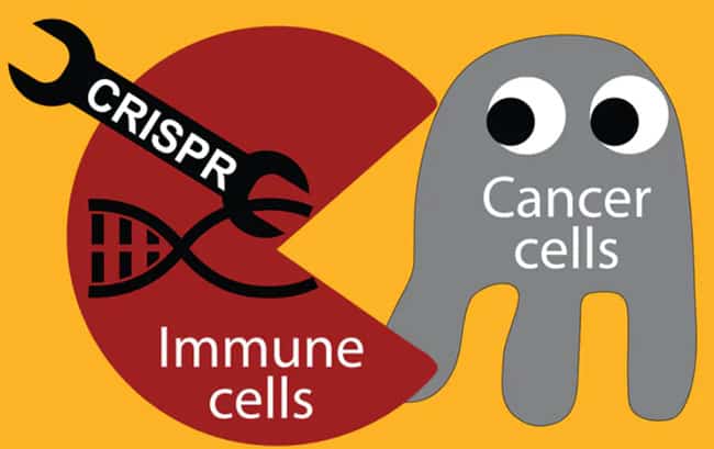 كريسبر, السرطان, علاج السرطان, خلايا تائية
