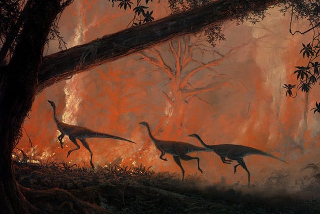 ديناصورات, انقراض, غابات, شجر, الحياة على الأرض, بيئة, حراق الغابات