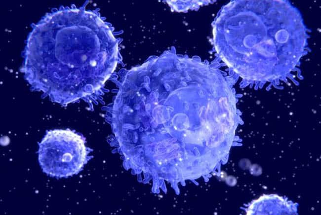 خلايا تائية, خلايا مناعية, علاج السرطان, السرطان, أمراض, الحمض النووي