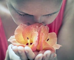 شم, حاسة الشم, فقدان حاسة السم, كورونا, فيروس كورونا