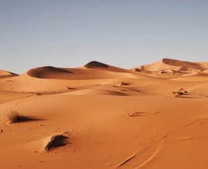 الصحراء الكبرى, حفريات, جيولوجيا, تاريخ