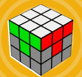 الخطوة الثانية: إنهاء الطبقة الأولى البيضاء