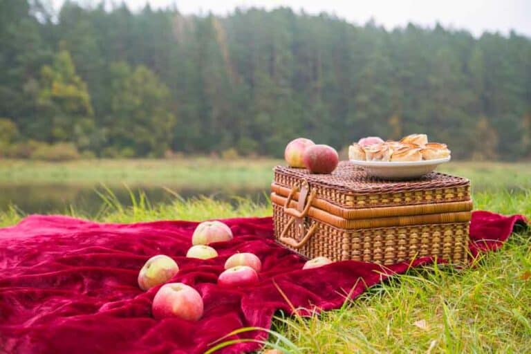 تناول الطعام أثناء الرحلات