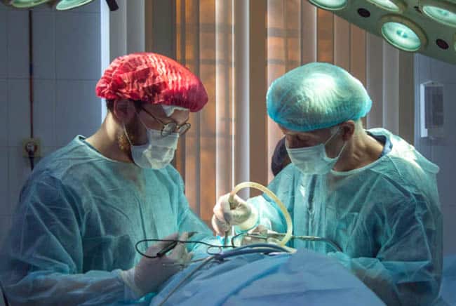 أطباء, سبات, عمليات, طب, تقنية, بيولوجي