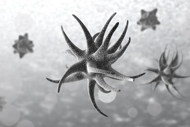 انفلونزا, جراثيم, برد, فصل الشتاء