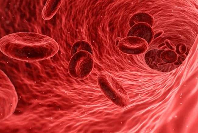 فصائل الدم, الدم, طب, علوم