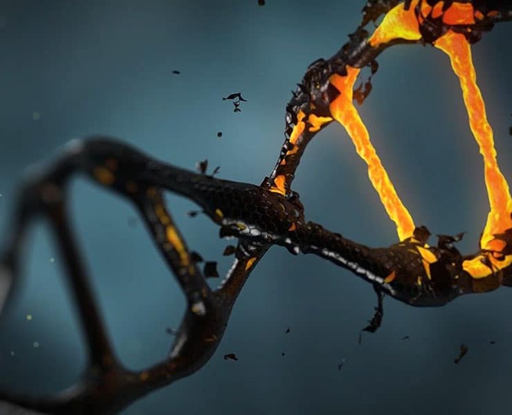 كريسبر, حمض نووي, دنا, بيولوجي, السرطان, علاج السرطان