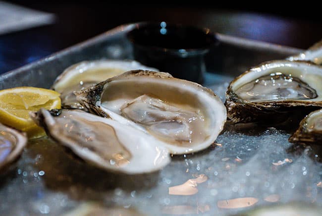 مأكولات بحرية, بكتيريا, صحة, طعام, التغير المناخي