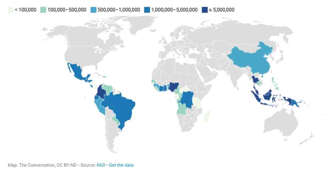 صناعة زيت النخيل