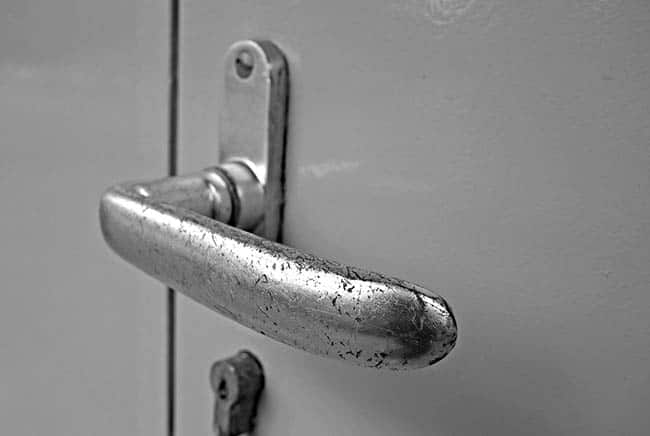 عجلة القيادة, جراثيم, أمراض