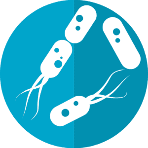 ميكروبيوم الأمعاء