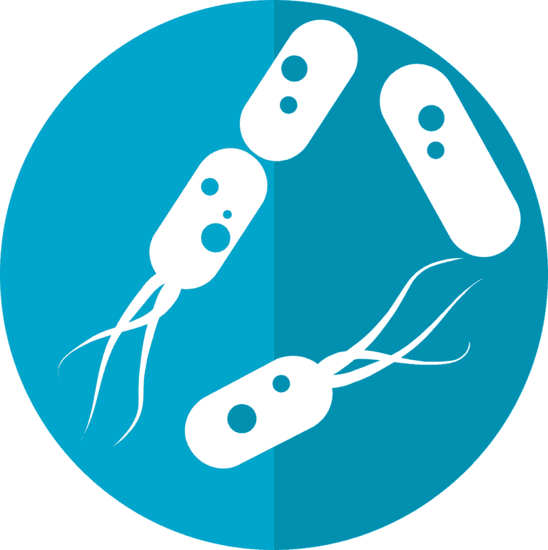 ميكروبيوم الأمعاء