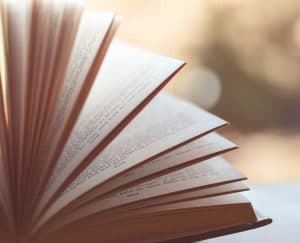 ورق, صناعة الورق, بيئة, التغير المناخي