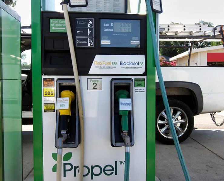 نادي بوبساي العلمي: الوقود الحيوي بين الحقيقة والخيال