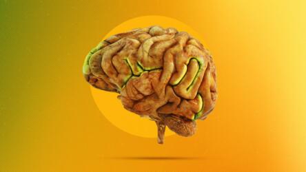 العقل المبدع لا يشيخ: كيف يحافظ الإبداع على ذكائك المهني؟