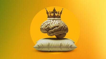 لماذا يبدأ الأداء القيادي من السرير؟ تأثير النوم في القرار والإنتاجية