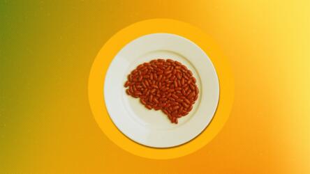 العلاقة بين البروتين والطاقة الذهنية: ما الذي يحدث داخل الدماغ؟