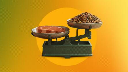 تناول البقوليات كمصدر للبروتين يقلل الوزن والكوليسترول الضار