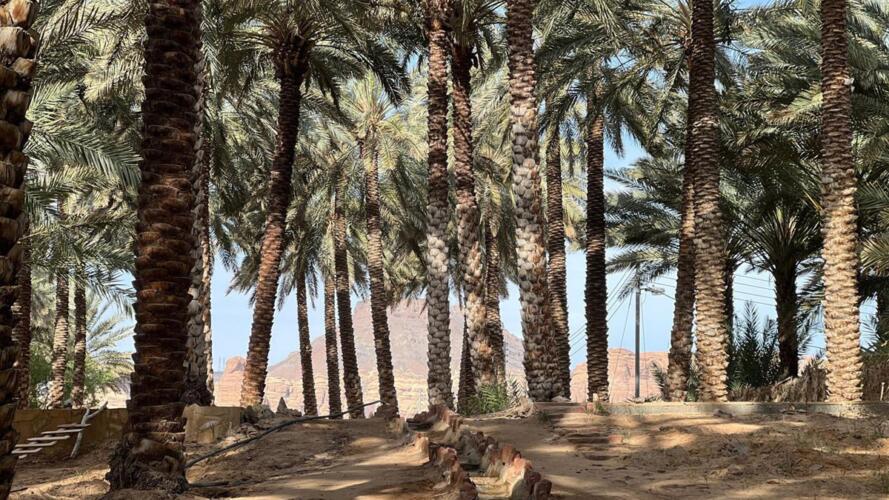 بناء مجتمع معرفي للمزارعين