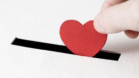 الأثر الاجتماعي للمؤسسات الخيرية