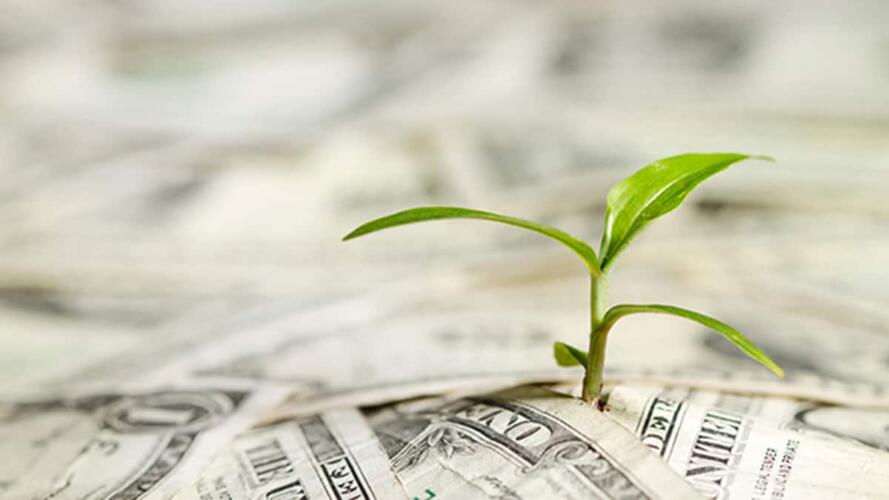 الحوكمة البيئية