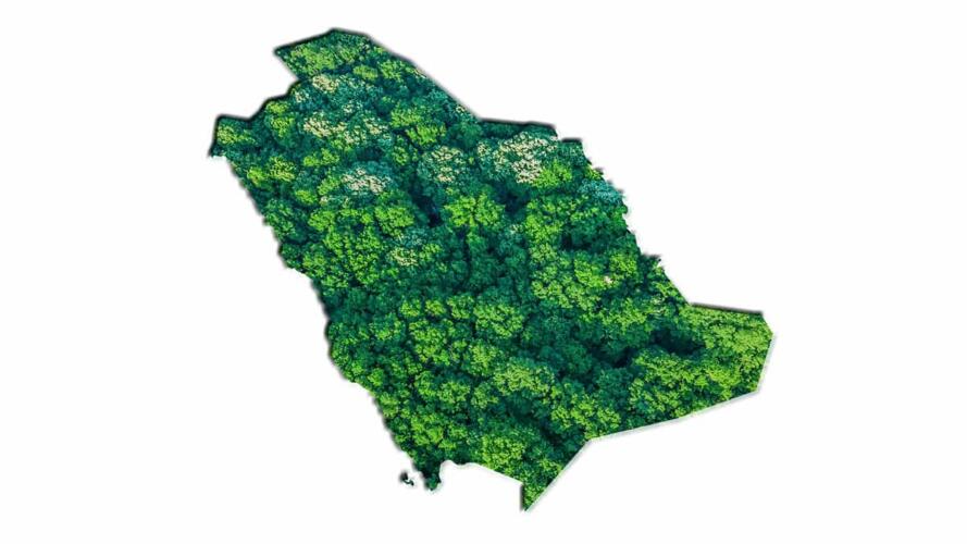 الاستدامة